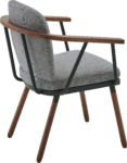 SCAUN AKKA