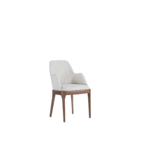 SCAUN DINING FAS